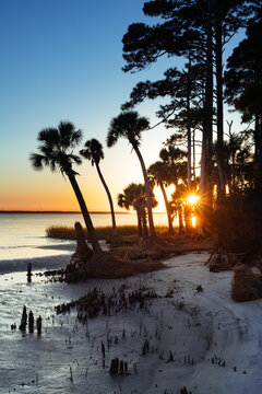 Apalachicola Bay coast off US Highway 98 near Nine Mile, Apalachicola, Florida