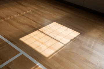 window reflection on wood floor