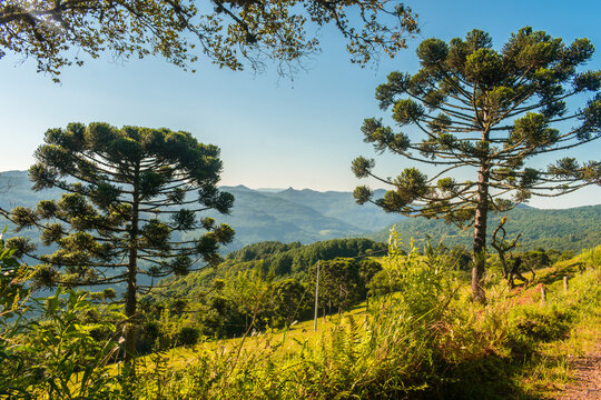 Valley of the pyramids viewpoint in Lagoas region - Countryside of Sao Francisco de Paula, Serra Gaucha (South of Brazil)