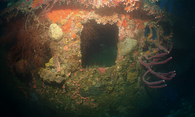 diver exploring a shipwreck on the island of Curacao