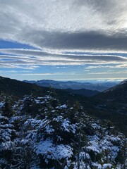 View From The Summit of Gray Peak