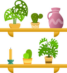 Ornamental plants home garden decorated on wooden shelves simple vector design
