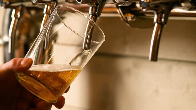 A barman pours beer from a tap into a clear glass. Beer festival. Beer restaurant