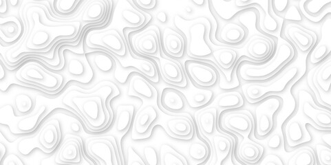 white paper and relief wave and cruve line paper cut background. soft white color seamless pattern, vector illustration, multi layer cutout banner design. topo counter map in 3d view.