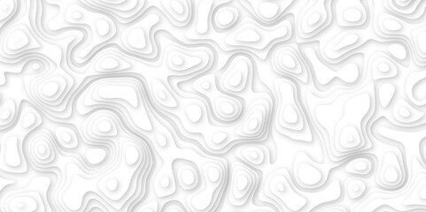 white paper and relief wave and cruve line paper cut background. soft white color seamless pattern, vector illustration, multi layer cutout banner design. topo counter map in 3d view.
