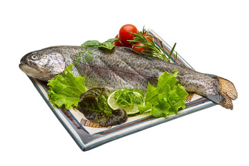 Fresh raw rainbow trout