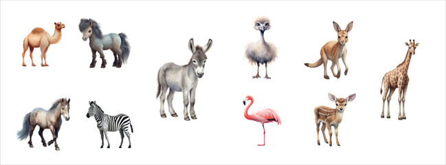 Vector Illustration Set of Various Wild Animals: Camel, Horse, Donkey, Ostrich, Kangaroo, Giraffe, Pony, Zebra, Flamingo