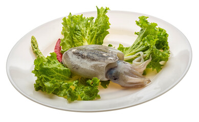 Raw cuttlefish