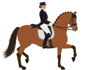 equestrian dressage, upper level horse with female rider in formal dress isolated on a white background