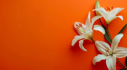 Bouquet of lilies on bright orange background with copy space.