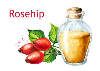 Glass bottle of wild rose or Rosehip oil with ripe red briar fruits. Hand drawn watercolor illustration, isolated on white background