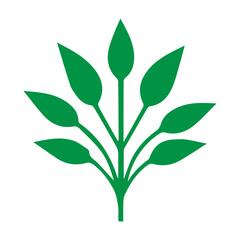 Beautiful romantic flower