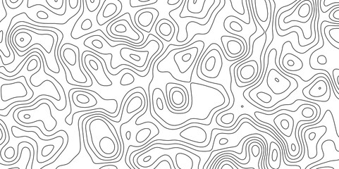 Abstract white topography vector background. Topographic map. Geographic mountain relief. counter map wavy line paper textrue. grid curve line abstract vector illustration .