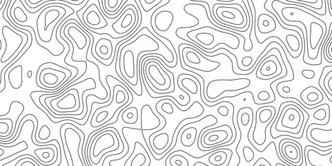 abstract white wave paper curved reliefs background. Topography map pattern, Geographic curved, vector illustration. seamless textrue, vintage waves. Panorama view multicolor wave curve line.