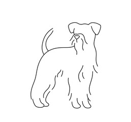 Vector isolated one single big shaggy terrier dog standing side view colorless black and white contour line easy drawing