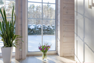 Winter landscape in white window. House plant Sansevieria trifasciata and bouquet of purple tulips
