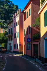 Colorfull Street