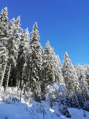 Montagne innevate dopo una nevicata abbondante