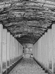old bridge