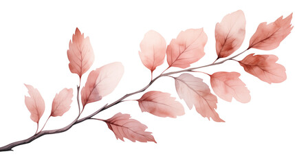 Sakura Leaves watercolor branches isolated on a transparent background.