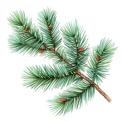 Obraz premium a branch of pine needles on white background