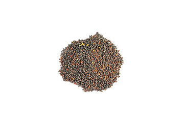 Black mustard seeds on white isolated background