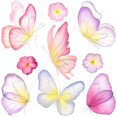 Butterfly watercolor illustration with petunia flowers. Colorful butterfly. Baby shower design elements. Party invitation, birthday celebration. Spring or summer decoration, floral, pink, yellow, blue