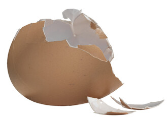 Isolated tan colored egg shell and pieces