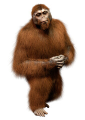 3D Rendering Orangutan on White