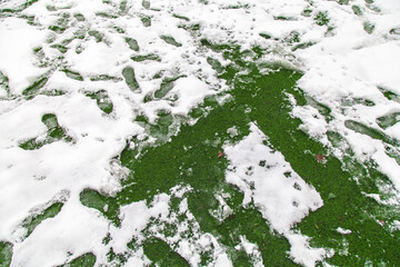 First snow in the city. Snow on artificial turf.