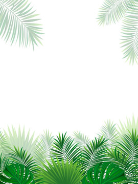 Green amazon border frame with exotic jungle plants, palm leaves, monstera and place for text. Summer foliage vector background. tropic vertical design for travel, vacations card and banners.