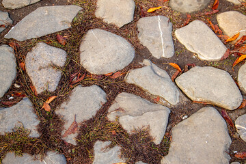 stone wall with moss