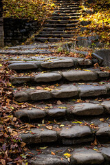 stone steps in the park