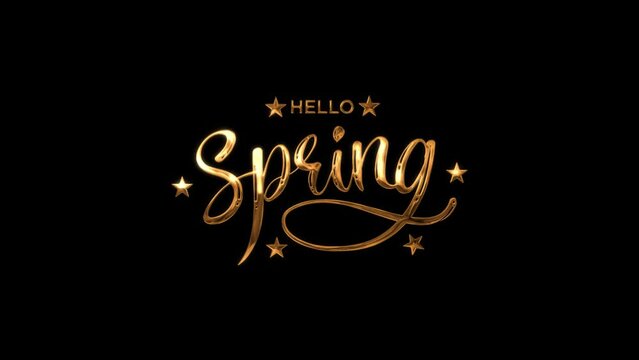 Hello Spring Handwritten Animated Text in Gold Color, beautiful lettering Great for hello spring 
logotype, badge and icon. Postcard, card, invitation, flyer, banner template and Lettering typography.