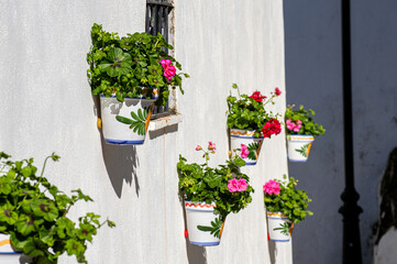 Naklejka premium Corners and details on the streets in Parauta, Spain