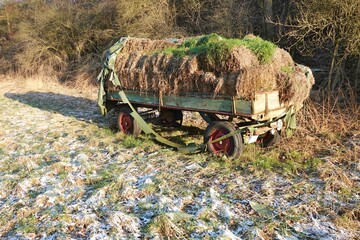 Alter Wagen mit Heu - Heuwagen