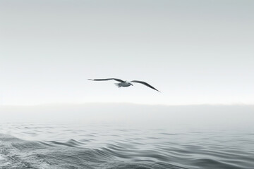 A seagull gliding gracefully through the sky, with its wings outstretched