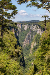 Waterfall, forest and cliffs in Itaimbezinho Canyon