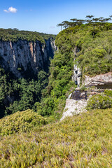 Forest, river and cliffs in Itaimbezinho Canyon