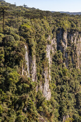 Fototapeta na wymiar Forest and cliffs in Itaimbezinho Canyon