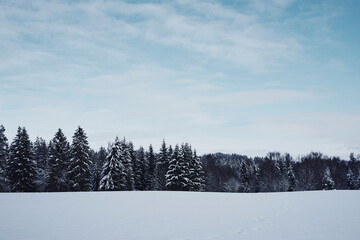 Winter of rural Toten, Norway, by the Krabyskogen Forest.