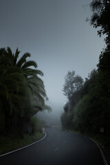 Road in the fog in Tenerife
