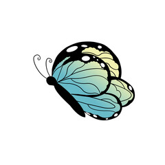 Butterfly vector, Butterfly element, Butterfly 