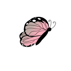 Butterfly vector, Butterfly element, Butterfly 