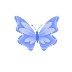 Butterfly vector, Butterfly element, Butterfly 