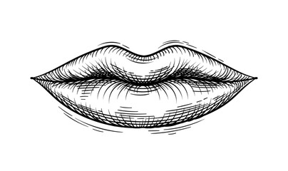 Handdraw sketch human organ. Educational materials and anatomical infographics. Minimalistic creativity and art. Poster or banner. Linear flat vector illustration isolated on white background