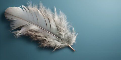 white feather on blue  background