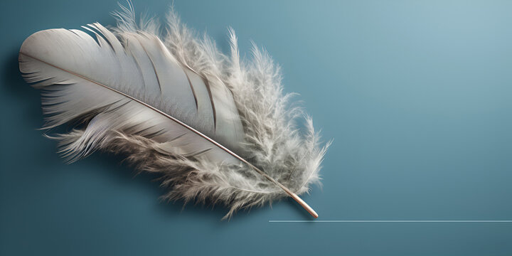 Fototapeta white feather on blue  background