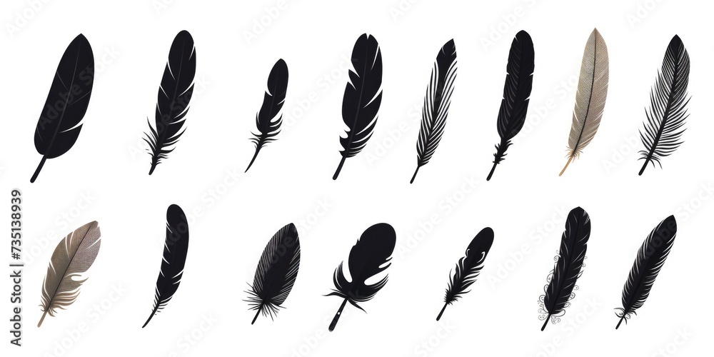 Aufkleber a collection of black and white feathers on a white background. versatile and elegant, perfect for v