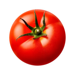 Tomato vector photo isolated on white background, tomatoes vegetable illustration